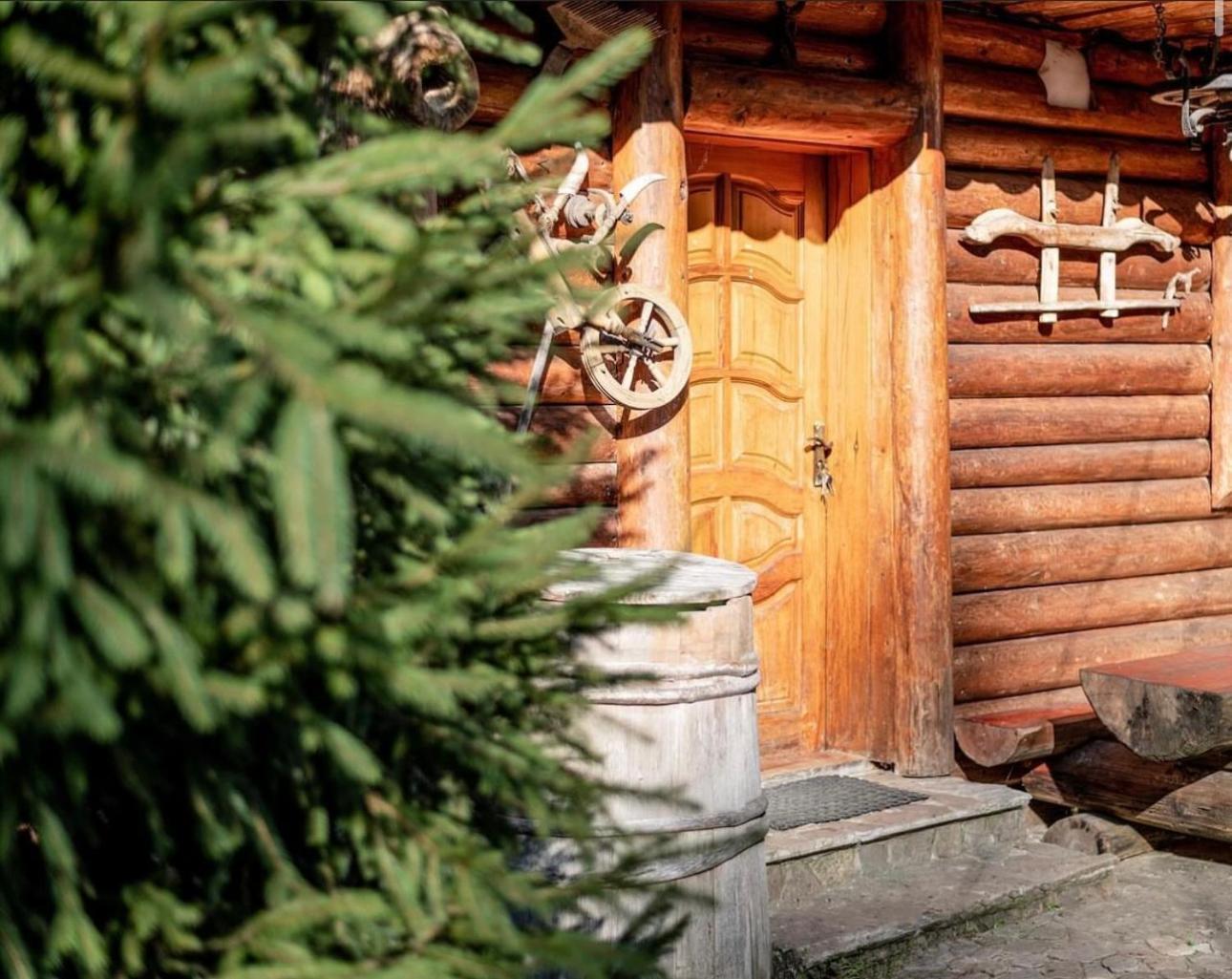 Будинок Художника Synevyrs'ka Polyana Exterior photo