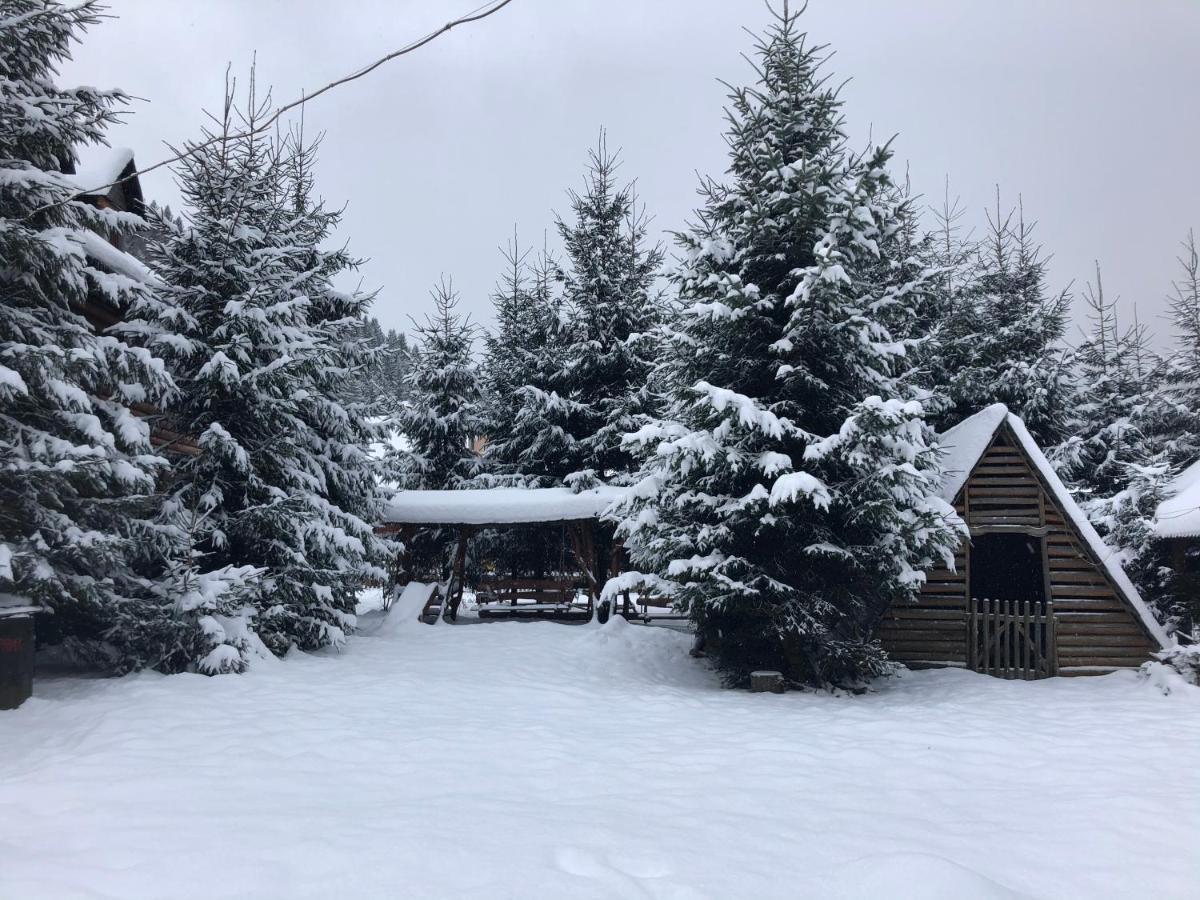 Будинок Художника Synevyrs'ka Polyana Exterior photo